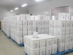 20lbs SUSHI GINGER for restaurant