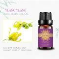 Беҳтарин органии органикӣ 100% равғани эланг ylang ylang ylang