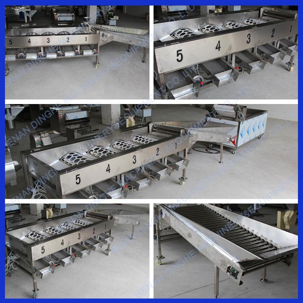 Roller fruit grading machine / mango sorting machine / automatic roller apple potato sorting machine