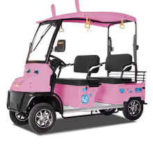 Stable and Durable Home Electric Four-Wheel Vehicle: Versatile for Fashion, Beauty, and Everyday Use