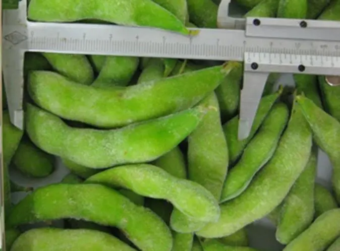 Edamame Taiwan 75 Frozen Edamame with Pod