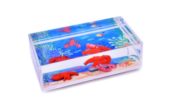 Refrigeratory magnet acrylic