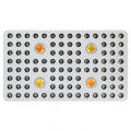 Phlizon 2000W COB LED cresce cor branca clara