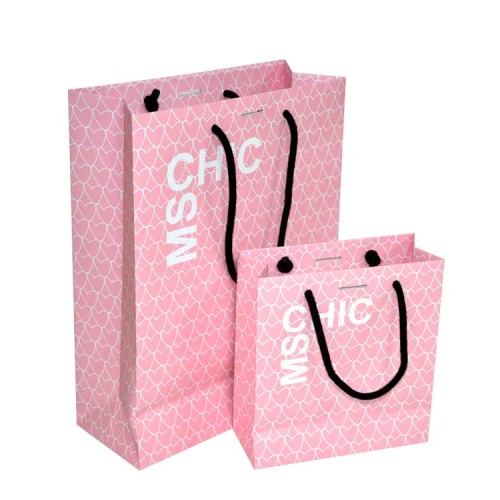 Luxury Shopping Paper bag for Clothing Package