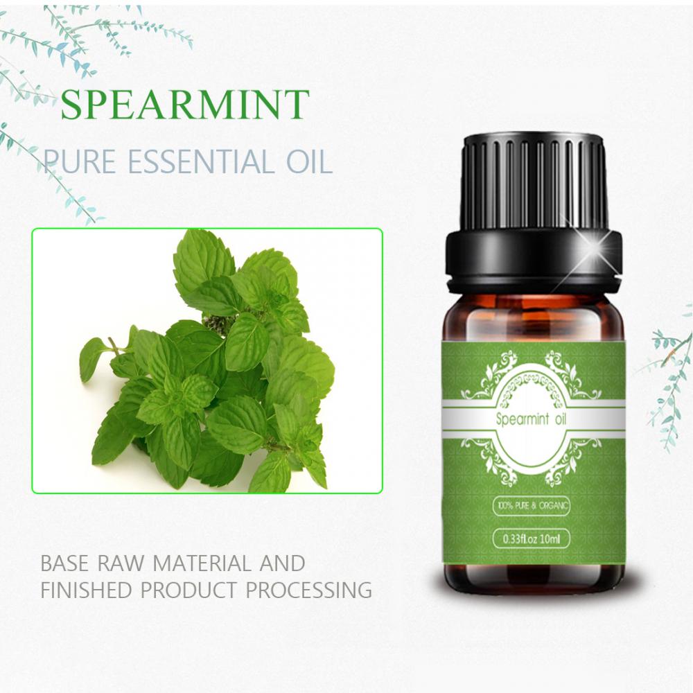 Minyak spearmint yang diproduksi minyak esensial panas alami