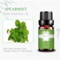 Minyak spearmint yang diproduksi minyak esensial panas alami