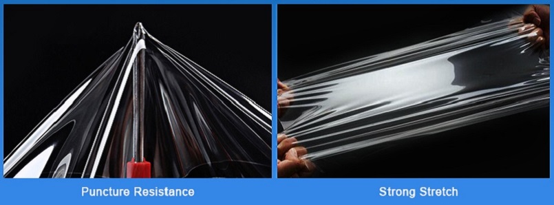 Bodyfence Paint Protective Film