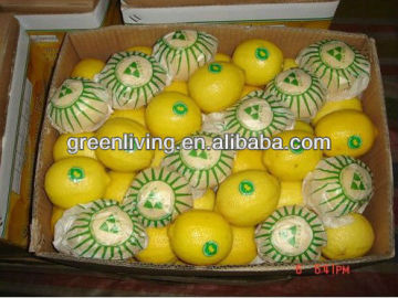 Fresh Lemon adalia lemon/Eureka lemon