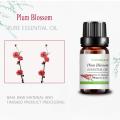 Wasserlösliche Pflaumenblüten ätherisches Öl für Körper Hautpflege