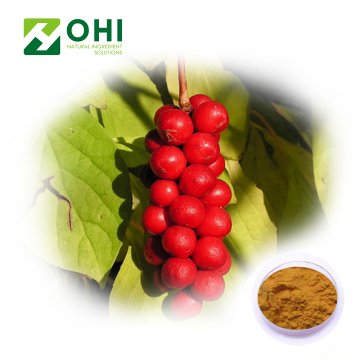 Schisandra Extract Schisandrins Powder