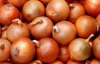 Golden Sweet Natural Fresh Onion Contains Pantothenic Acid