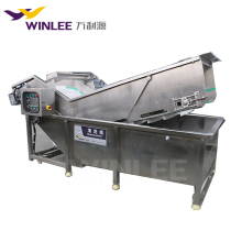 High Efficiency Water Recycling Air Bubble Vegetable Washer: Spring Onion Washing Machine