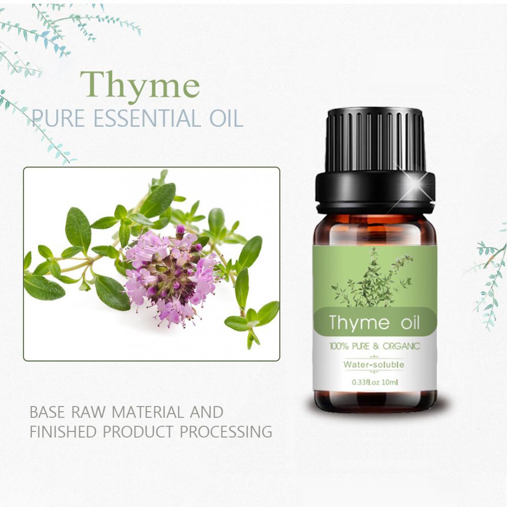 10ml organik aromaterapi murni thyme oli esensial curah