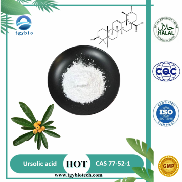 Supply High Quality Ursolic Acid powder CAS 77-52-1