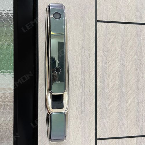 Modern Smart Lock Metal Large Pivot Front Door