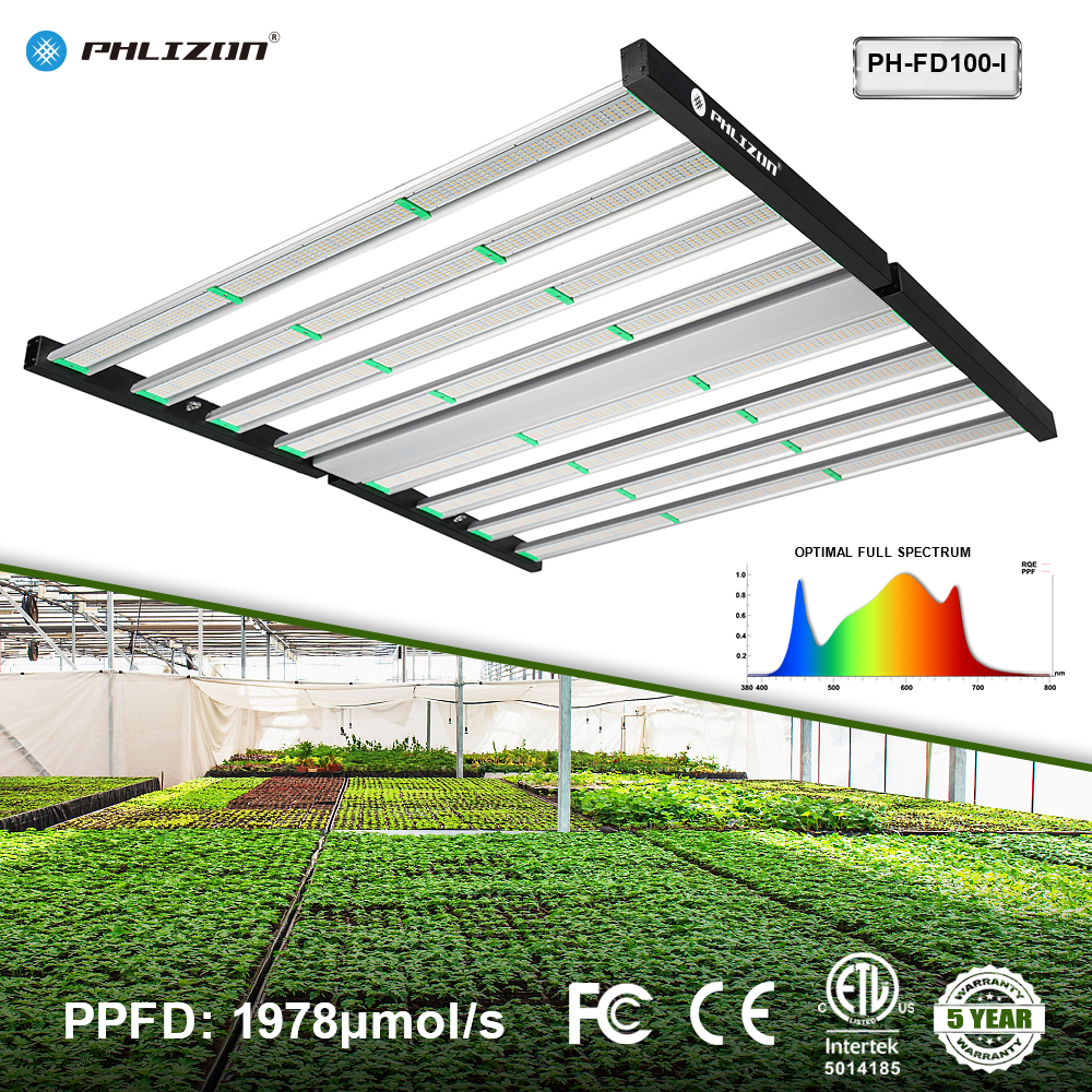 Led Lighting For Indoor Growing