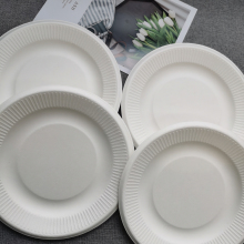 Biodegradables High-capacity Household Food Containers