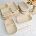 Bagasse Take Away Container Composterable Paper Environment