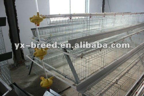 Bird layer or broiler cage in Poultry Farm