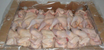 Frozen Whole Halal Chicken