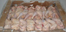 Frozen Whole Halal Chicken