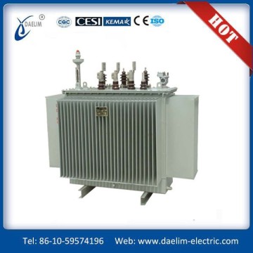 10kv Three phase 6kv 250kva Oil immersed Distribution Transformer