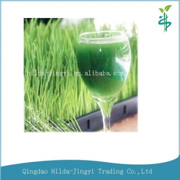 2015 JAS certified Organic wheatgrass extract juice powder