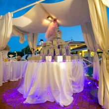 16W LED Fiber Optic Event Table Decorations