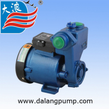Gp Self-Suction Pump Small Pump, Electric Pump Garden Pump