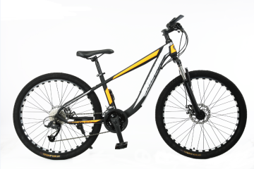 TW-53-1Steel HIGH QUANTITY MTB BIKE