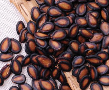 Watermelon seed color sorter/processing machine