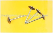 Roofing nails umbrella head