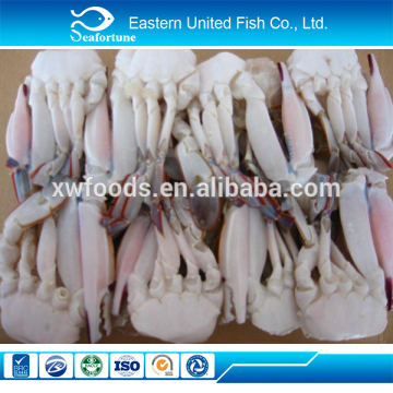 chinese sea new arrival live crab iqf
