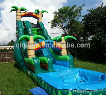 giant inflatable water slide for adult and kids/inflatable water slide S0112