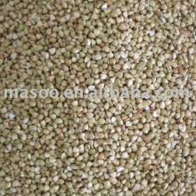 Hulled Buckwheat Kernel
