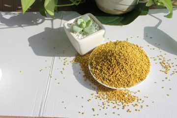 Rape Bee Pollen