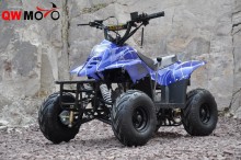 50cc 110cc 125cc Quad Bike ATV/ Quads