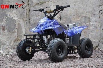 50cc 110cc 125cc Quad Bike ATV/ Quads