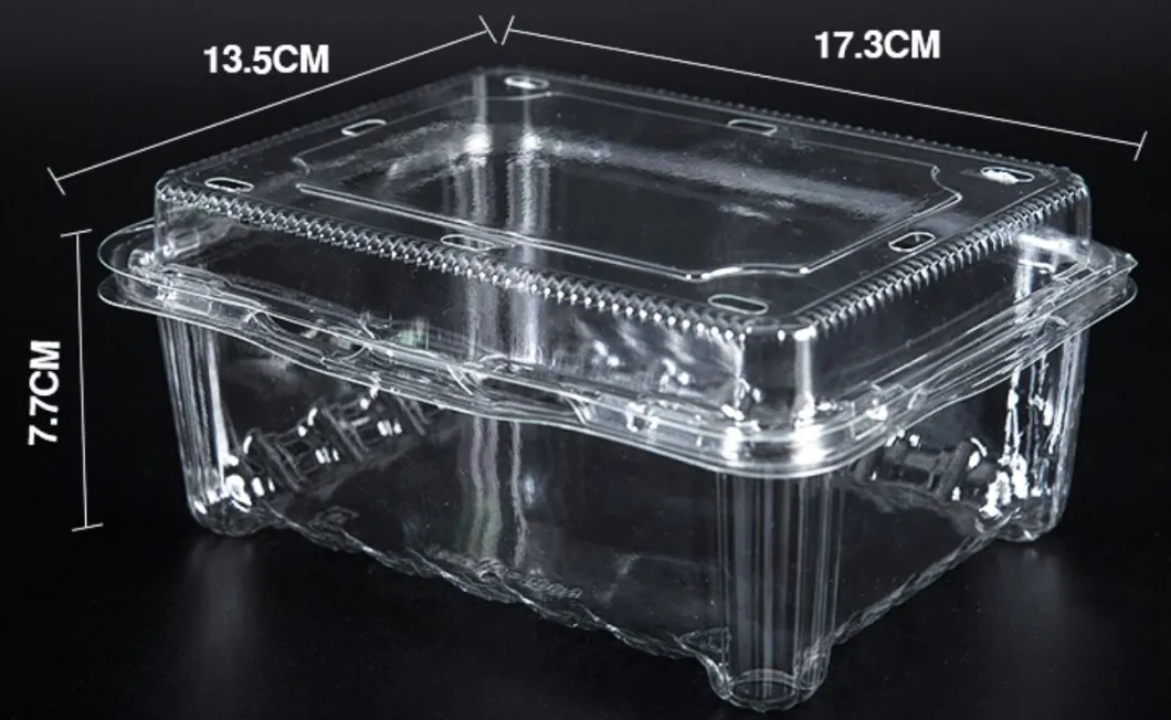 Pet Clear Plastic Compartment Take Away Salad Food Container Tray 6