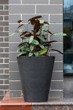 High Cylindrical Round Planter Pot