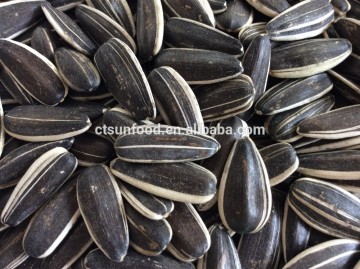 Good quality sunflower seeds for human consumption