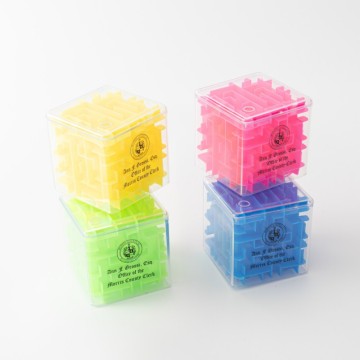 Money Maze Puzzle Box