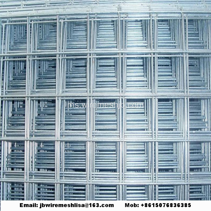 Wire Mesh Galvanized Wire Hot-dip Panel