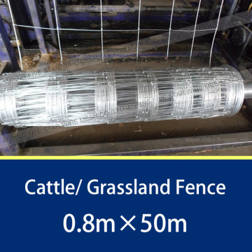 15cm*15cm Hot Dip Galvanized hinged joint cattle fence