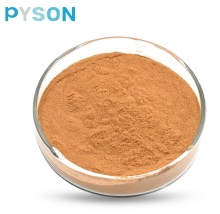 Factory Wholesale Reishi Mushroom Tincture Ganoderma Extract