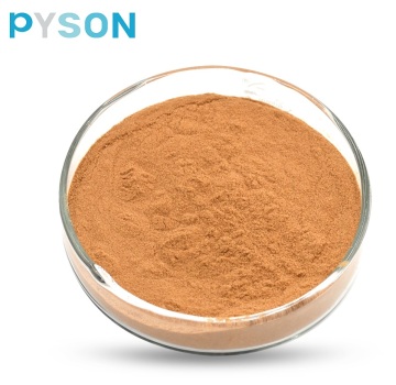 Factory Wholesale Reishi Mushroom Tincture Ganoderma Extract