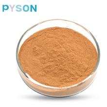 أعلى مصنع Pyson تزود Bacopa Monnieri extract