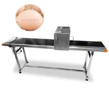 Good Price Egg Tray Printing & Coding Machine