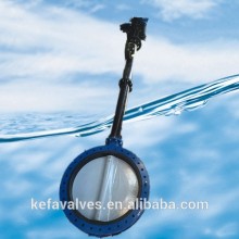 Long stem U type flanged butterfly Valve with nylon 11 coating disc