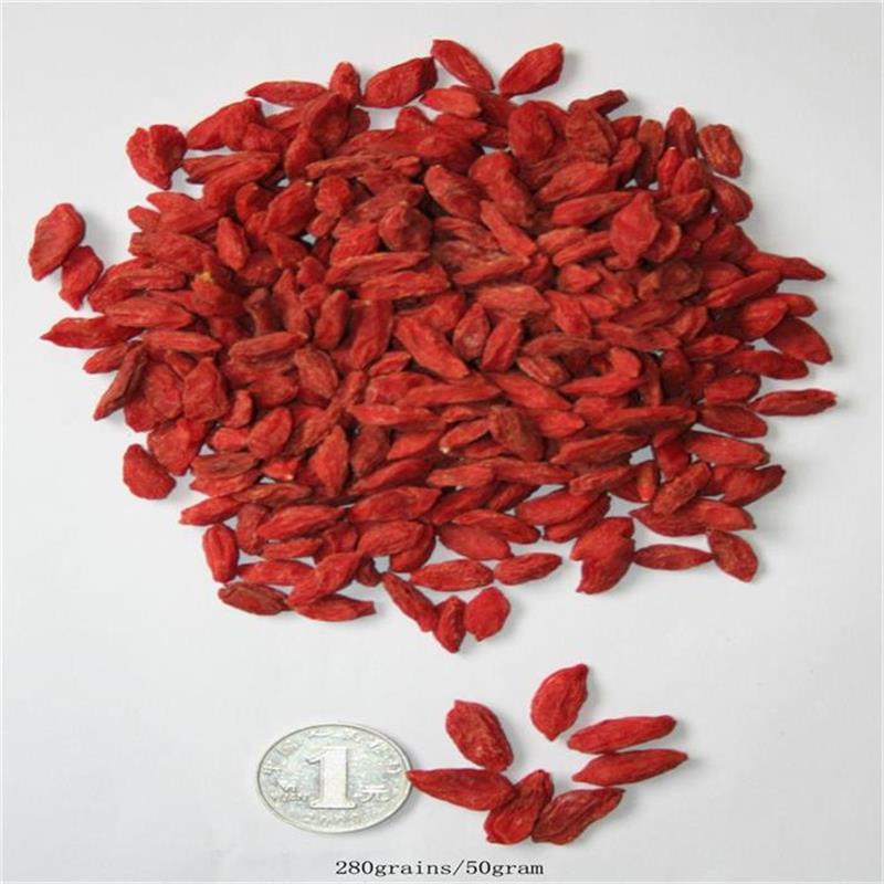 Ningxia Faible résidus agricoles Goji baies séchées / goji